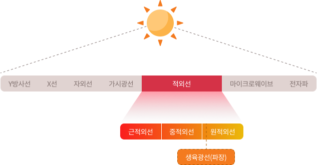 생육광선(파장) 설명 이미지